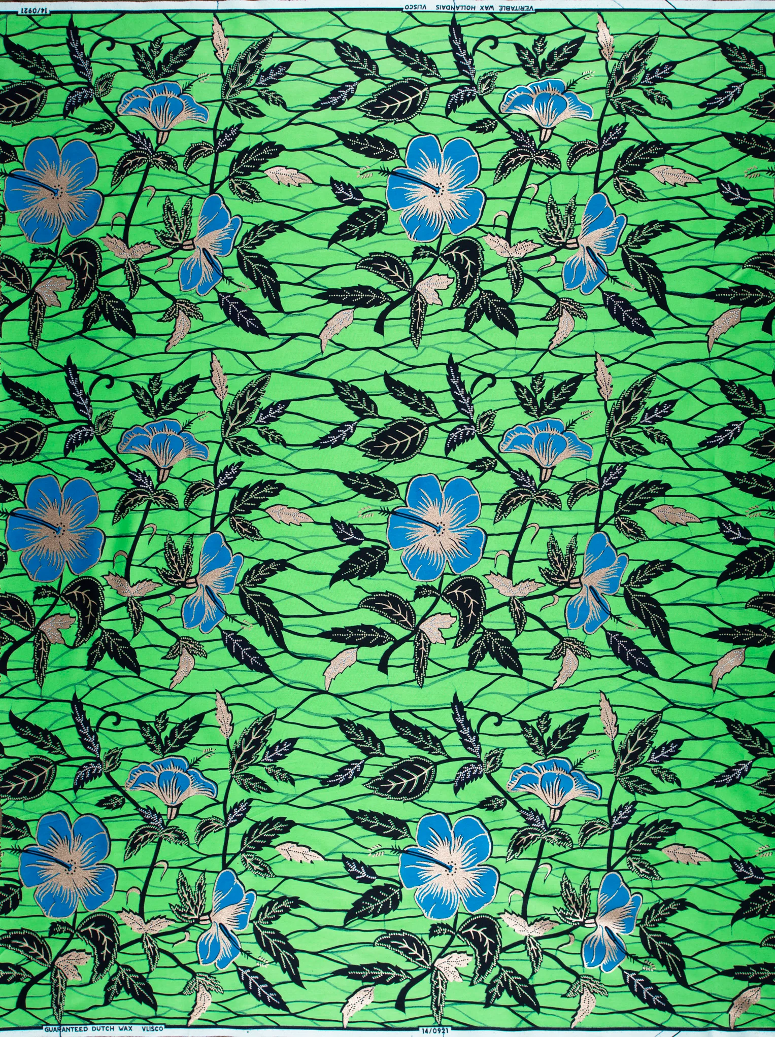 Wax Hollandais | VL00921.281 | Rose Gold Embellished - Image 4