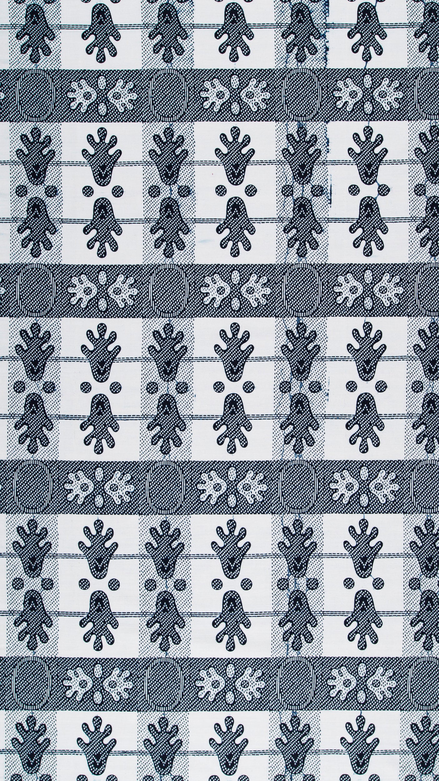 Wax Poplin | VL02074.165 - Image 3