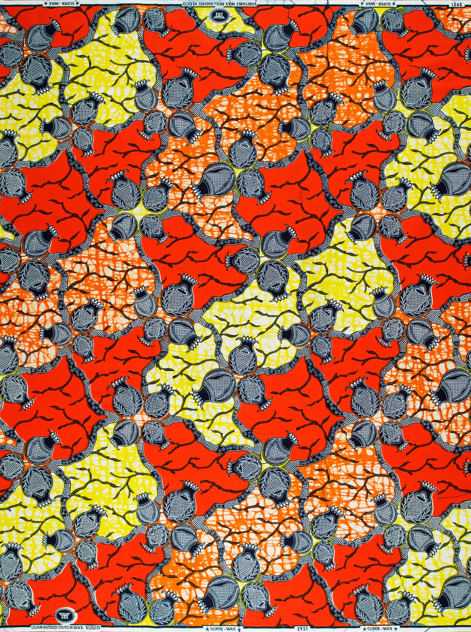 Super-Wax | VL02921.265 | Onion - Image 4