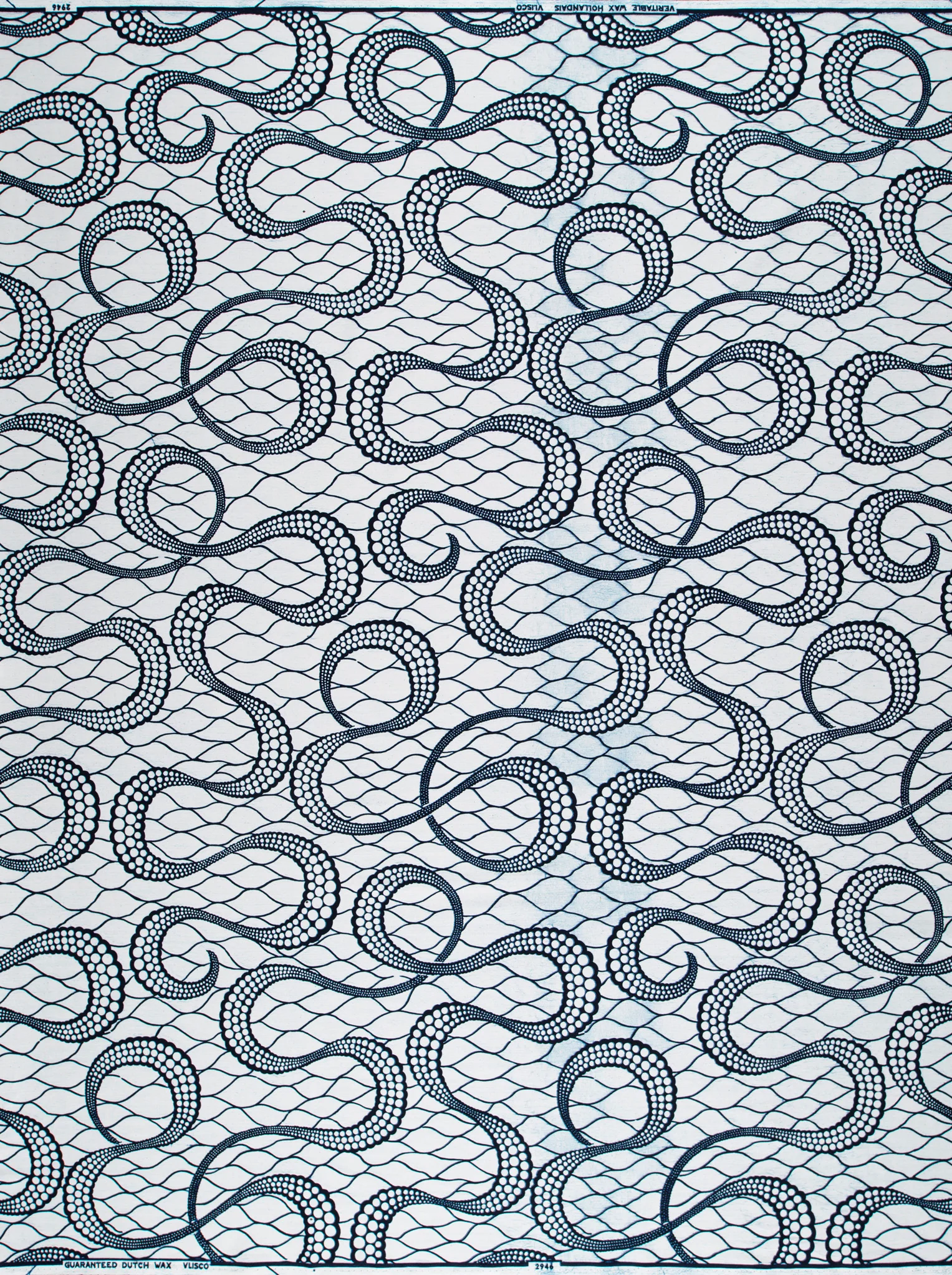 Wax Poplin | VL02946.161 | Only God - Image 4
