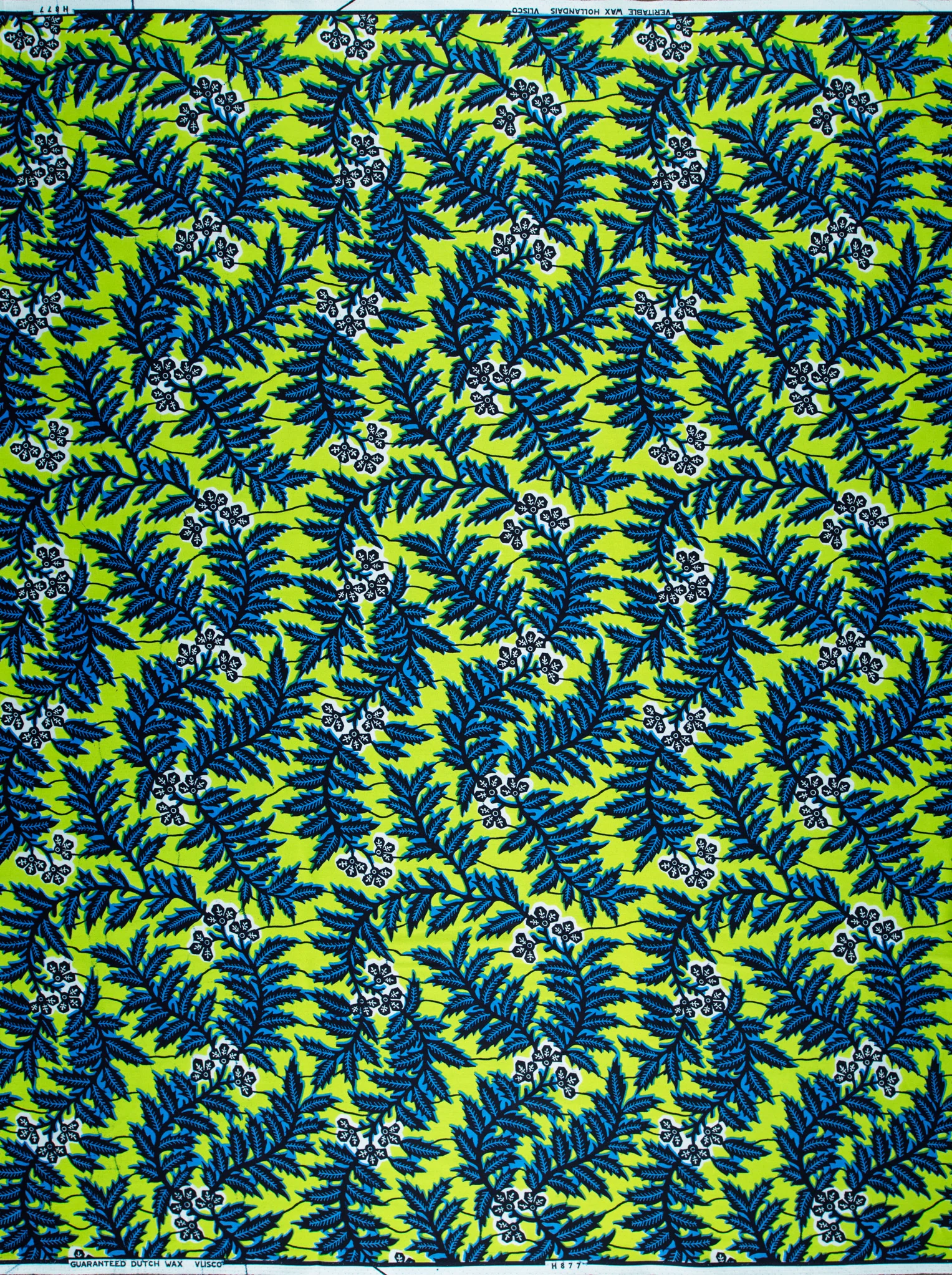 Wax Hollandais | VL0H877.009 - Image 4