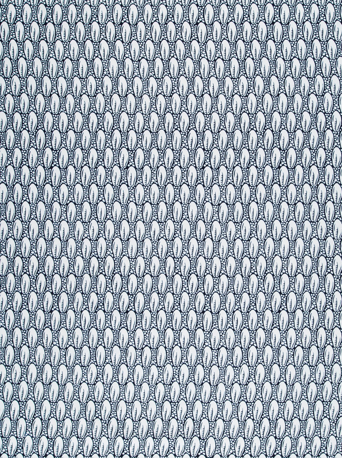 Wax Poplin | VL49200.145 | Bitter Kola, Cocoa - Image 3