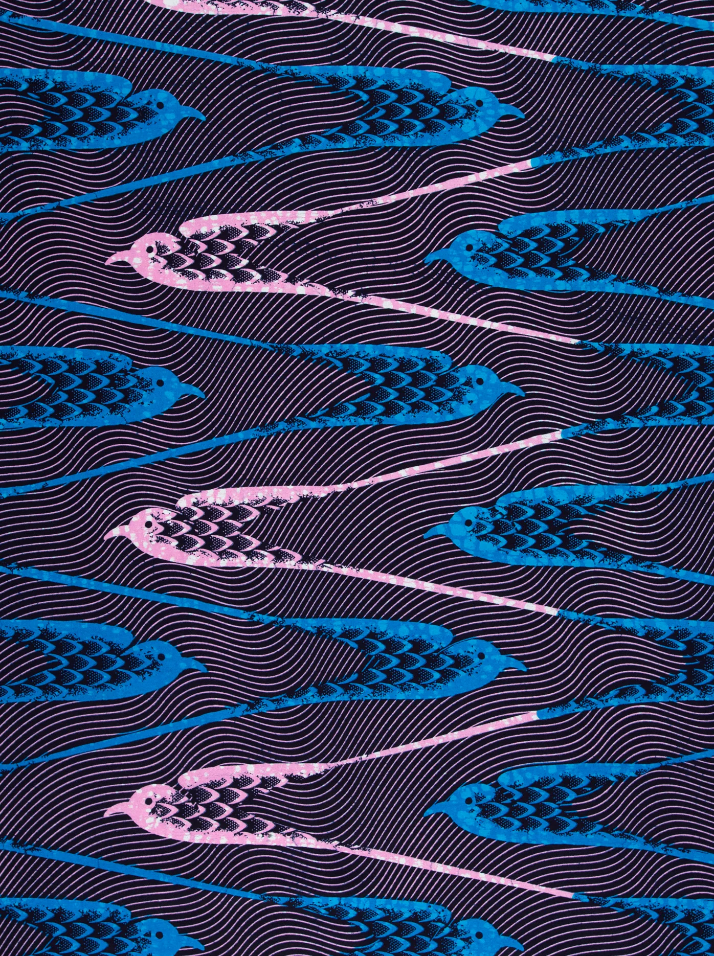 Wax Hollandais | VLA0967.019 - Image 3