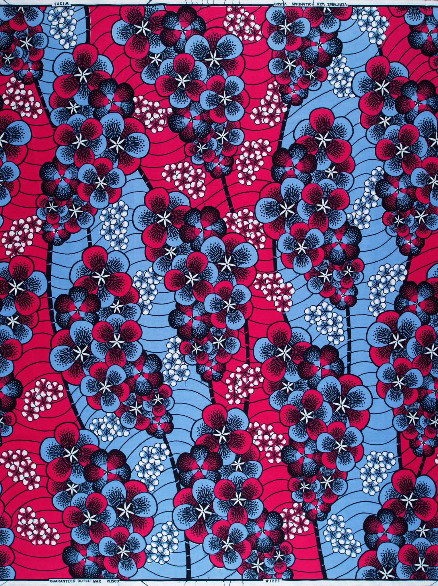 Wax Hollandais | VLW1293.003 - Image 4