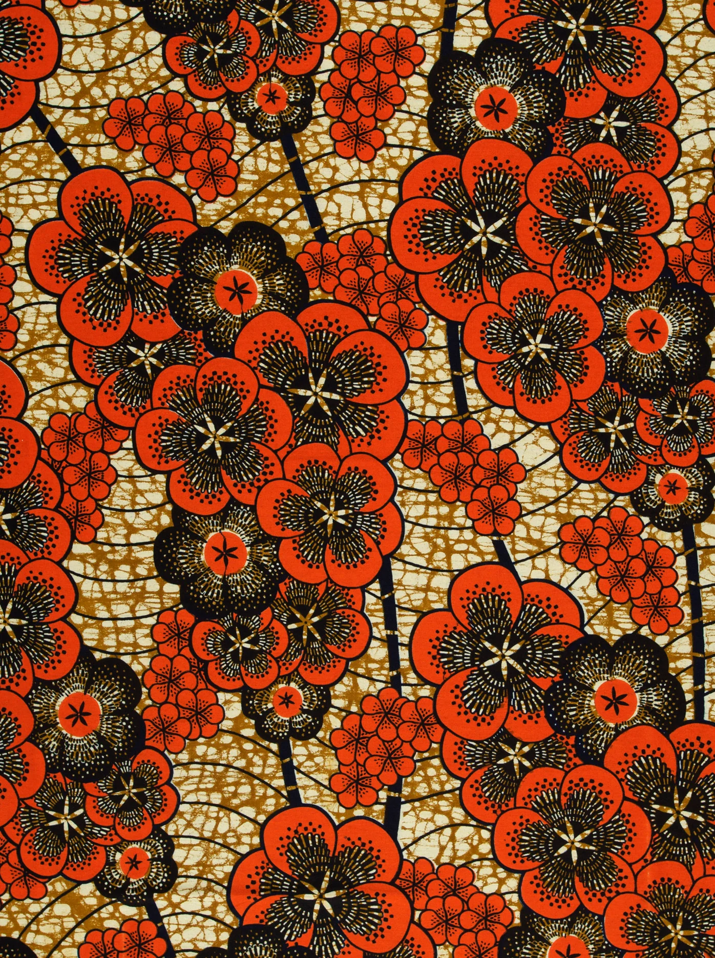 Wax Hollandais | VLW1293.005 - Image 3