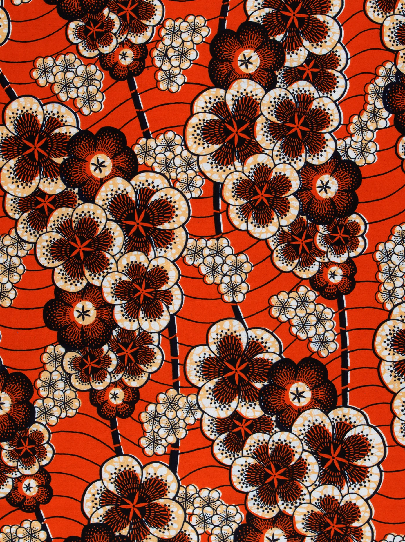 Wax Hollandais | VLW1293.010 - Image 3