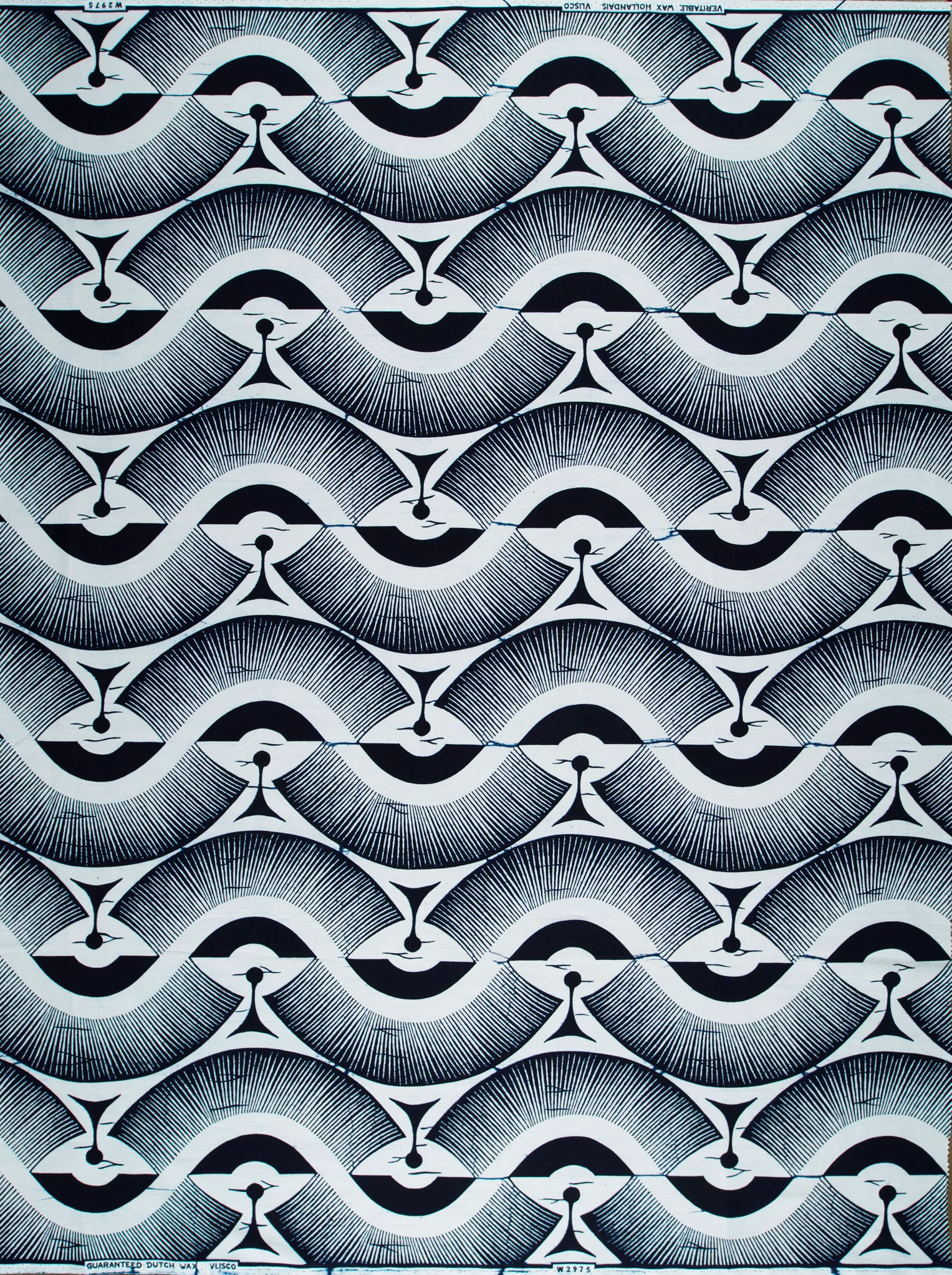 Wax Poplin | VLW2975.013 - Image 4