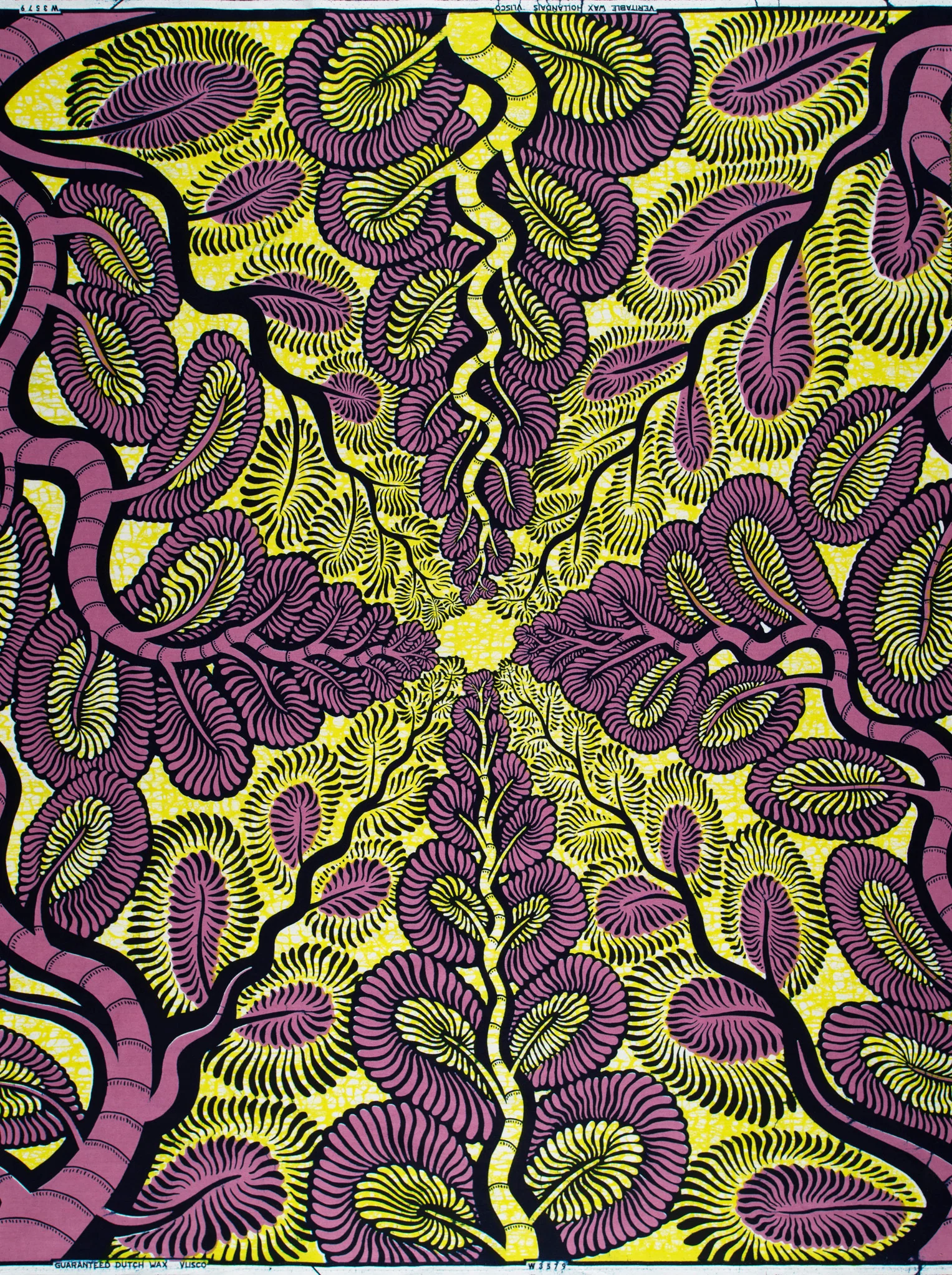Wax Hollandais | VLW3579.001 - Image 6