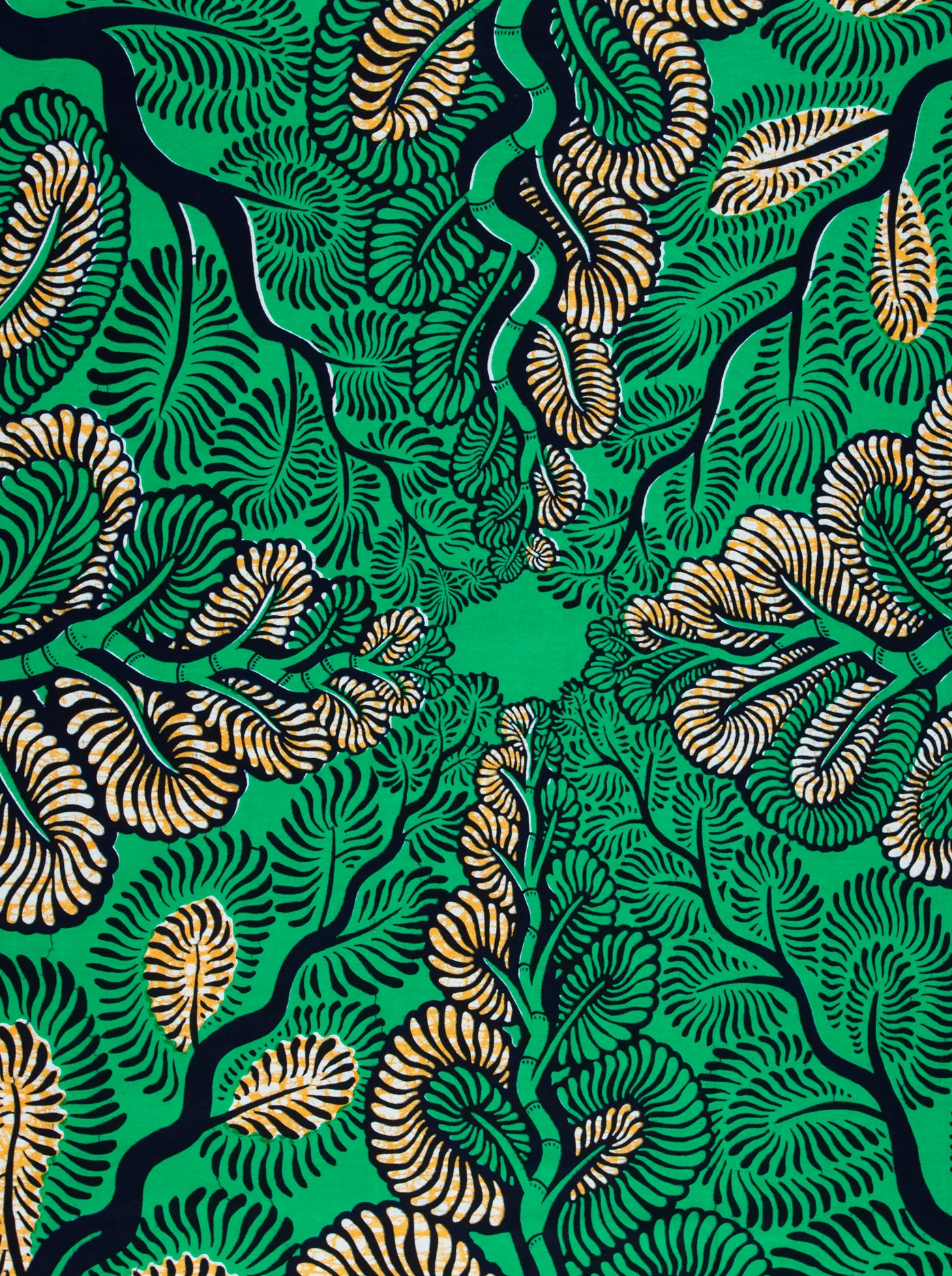 Wax Hollandais | VLW3579.005 - Image 3