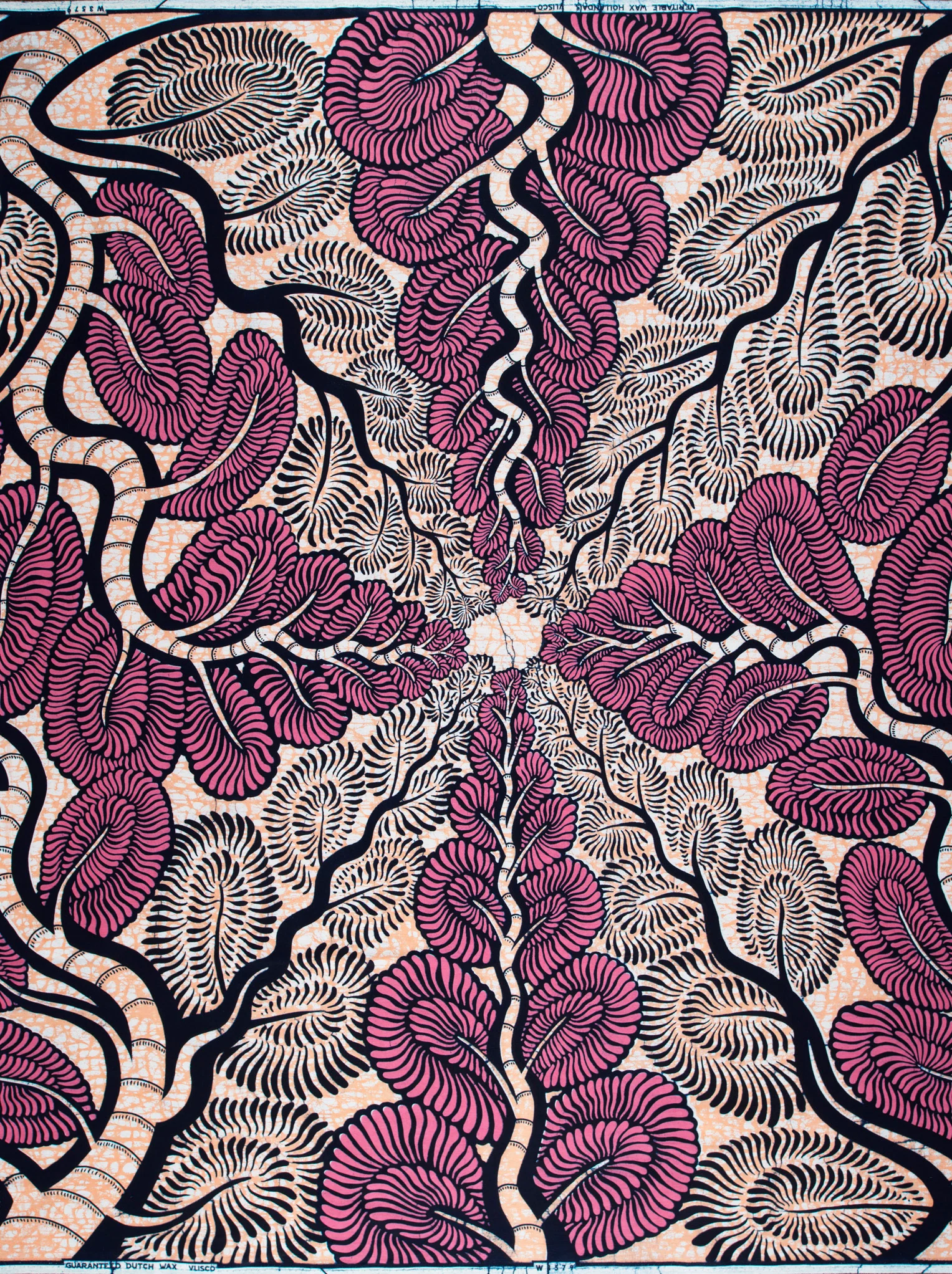 Wax Hollandais | VLW3579.006 - Image 4