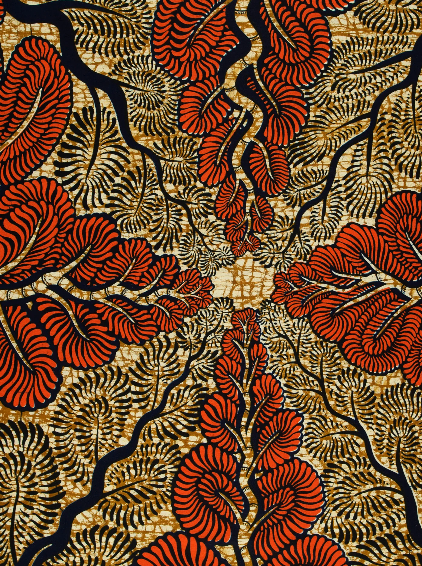 Wax Hollandais | VLW3579.007 - Image 3