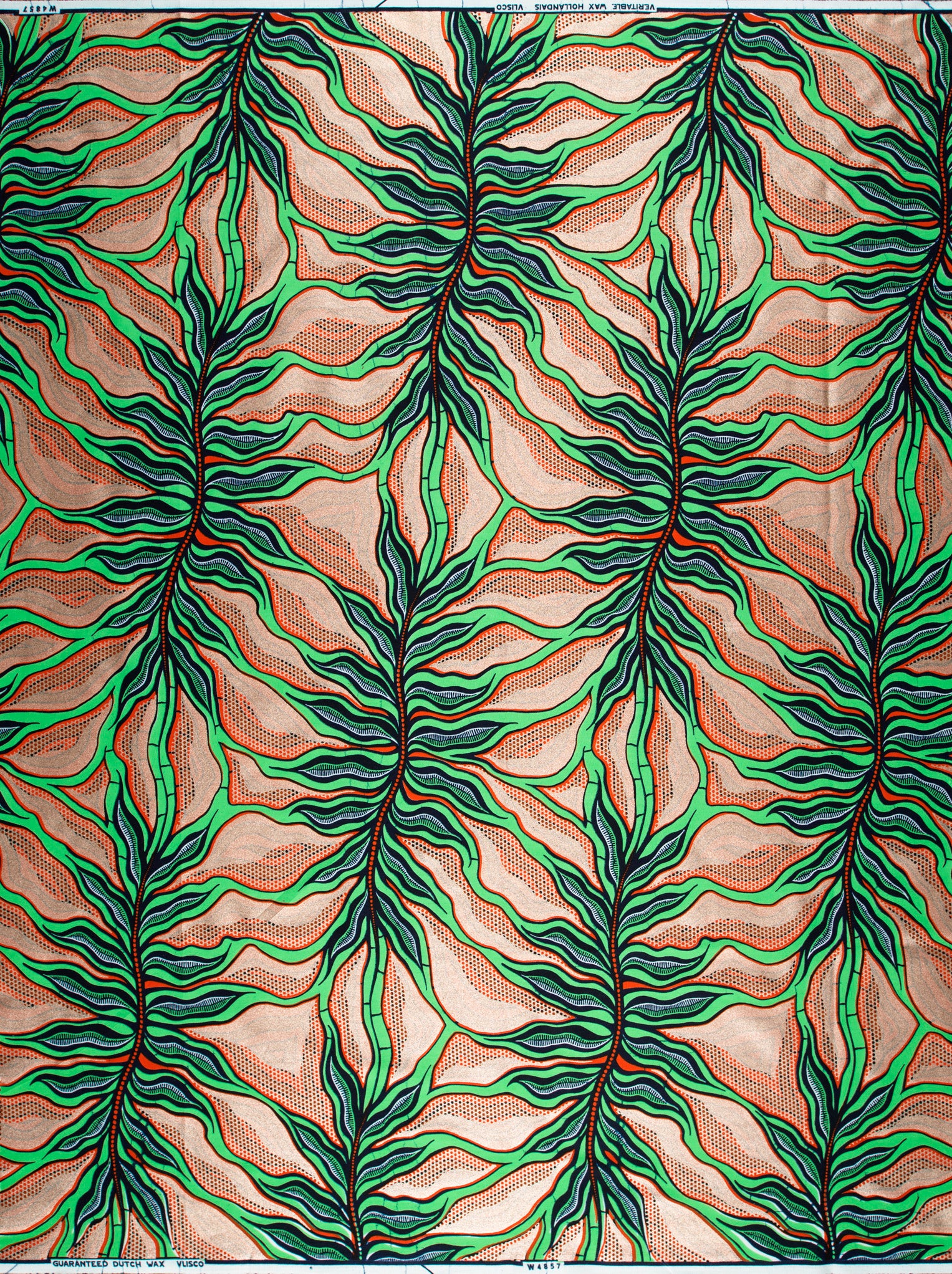Wax Hollandais | VLW4857.025 | Rose Gold Embellished - Image 4