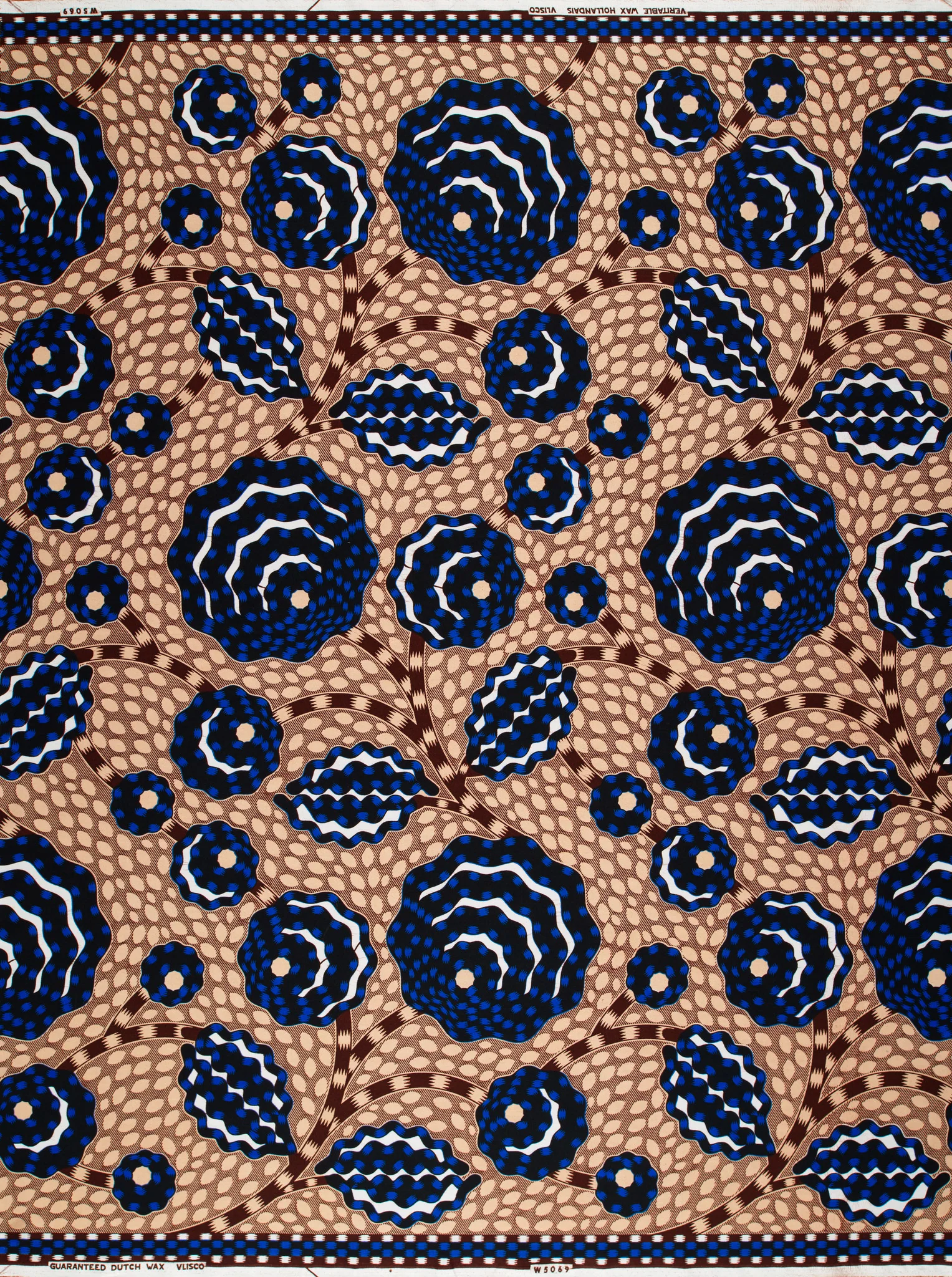 Wax Hollandais | VLW5069.005 | Dynamic flower - Image 4