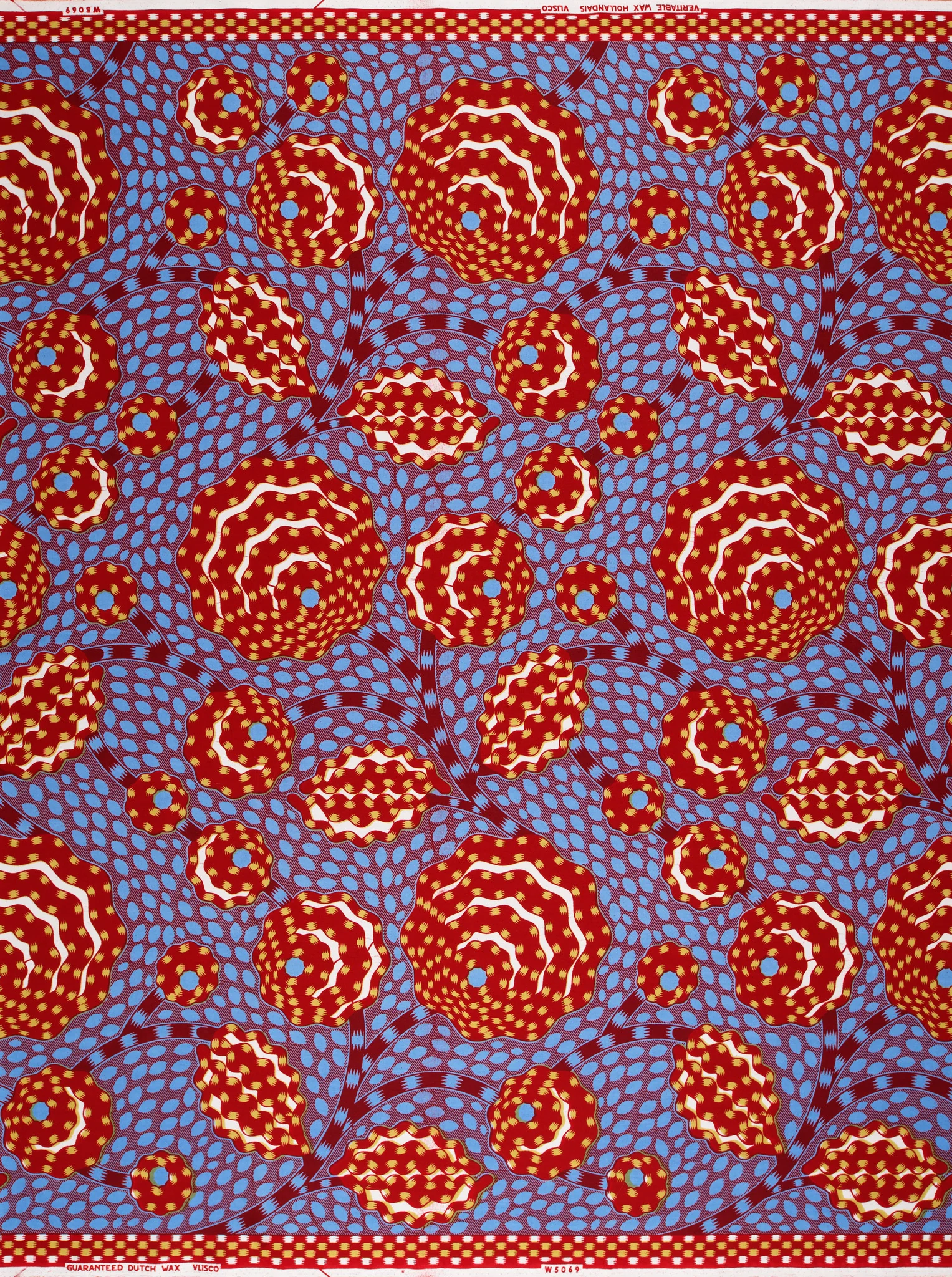 Wax Hollandais | VLW5069.006 | Dynamic flower - Image 4