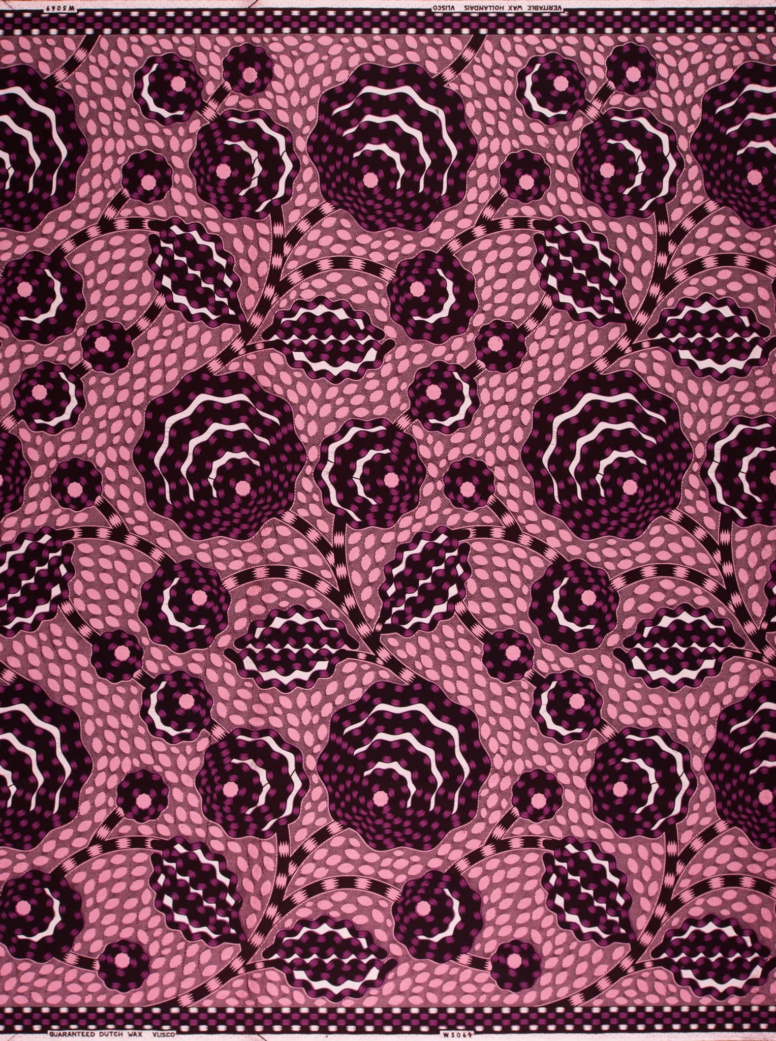Wax Hollandais | VLW5069.009 | Dynamic flower - Image 4