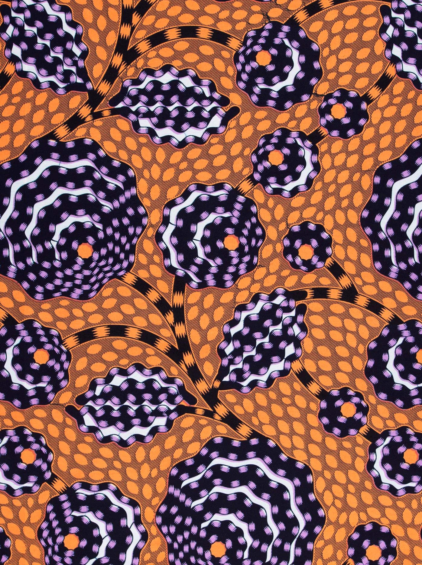 Wax Hollandais | VLW5069.014 | Dynamic flower - Image 3