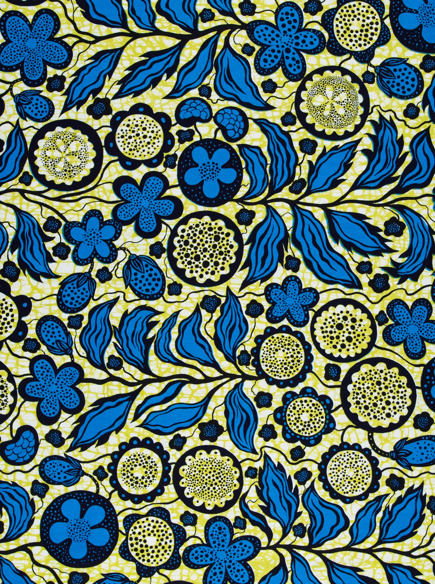 Wax Hollandais | VLW6565.013 - Image 3