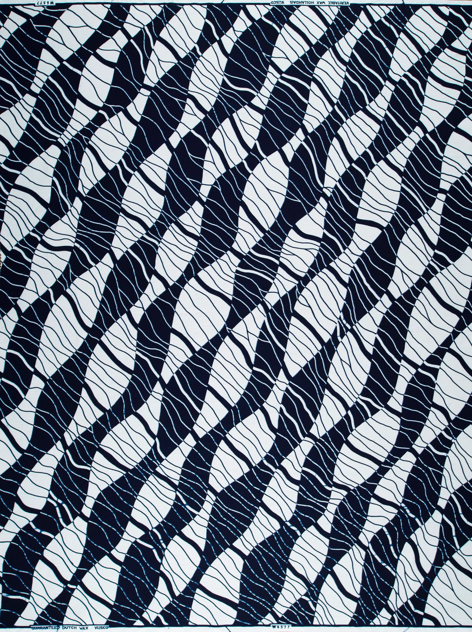 Wax Poplin | VLW6577.018 - Image 4
