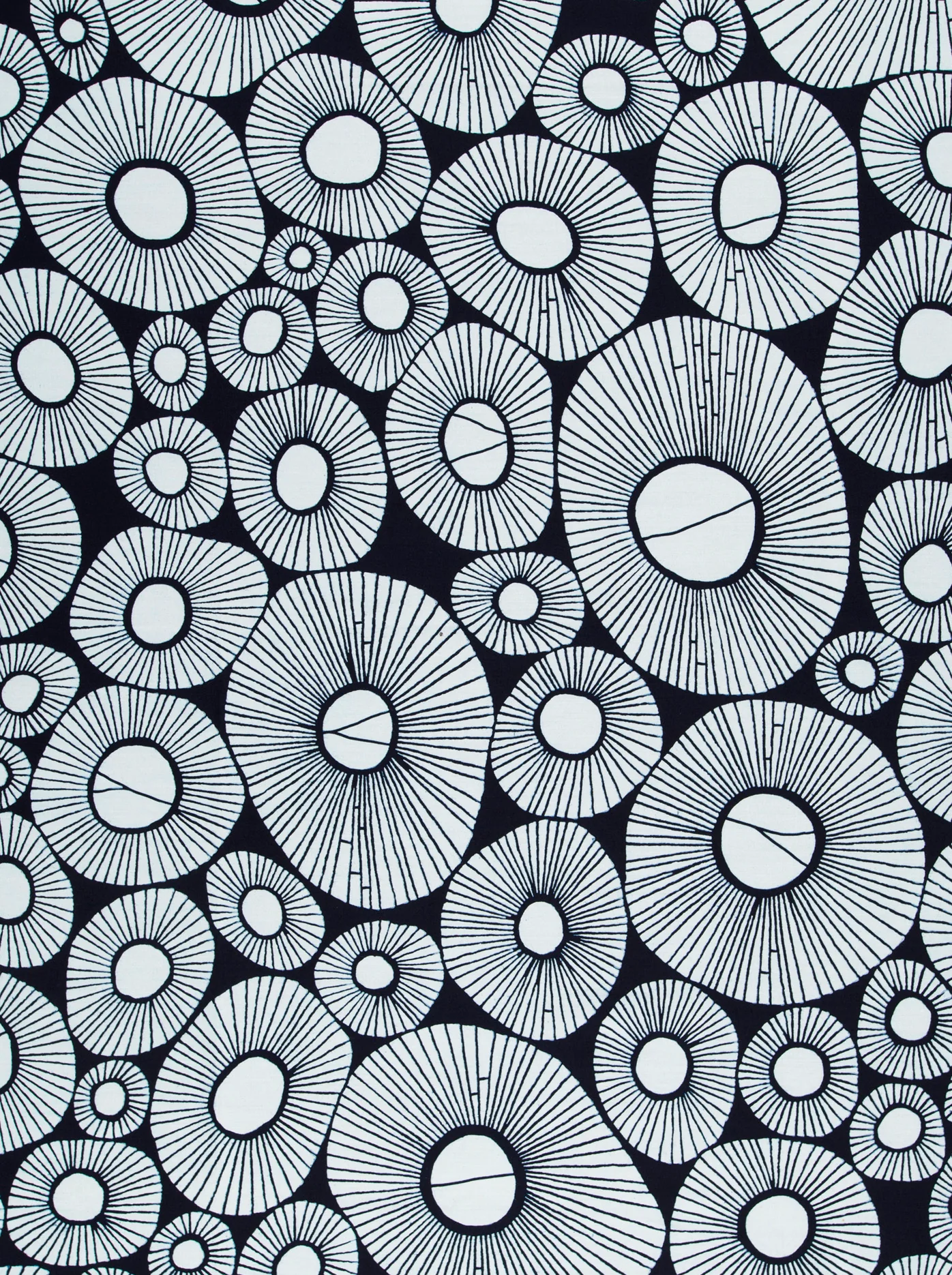 Wax Poplin | VLW6875.021 - Image 3