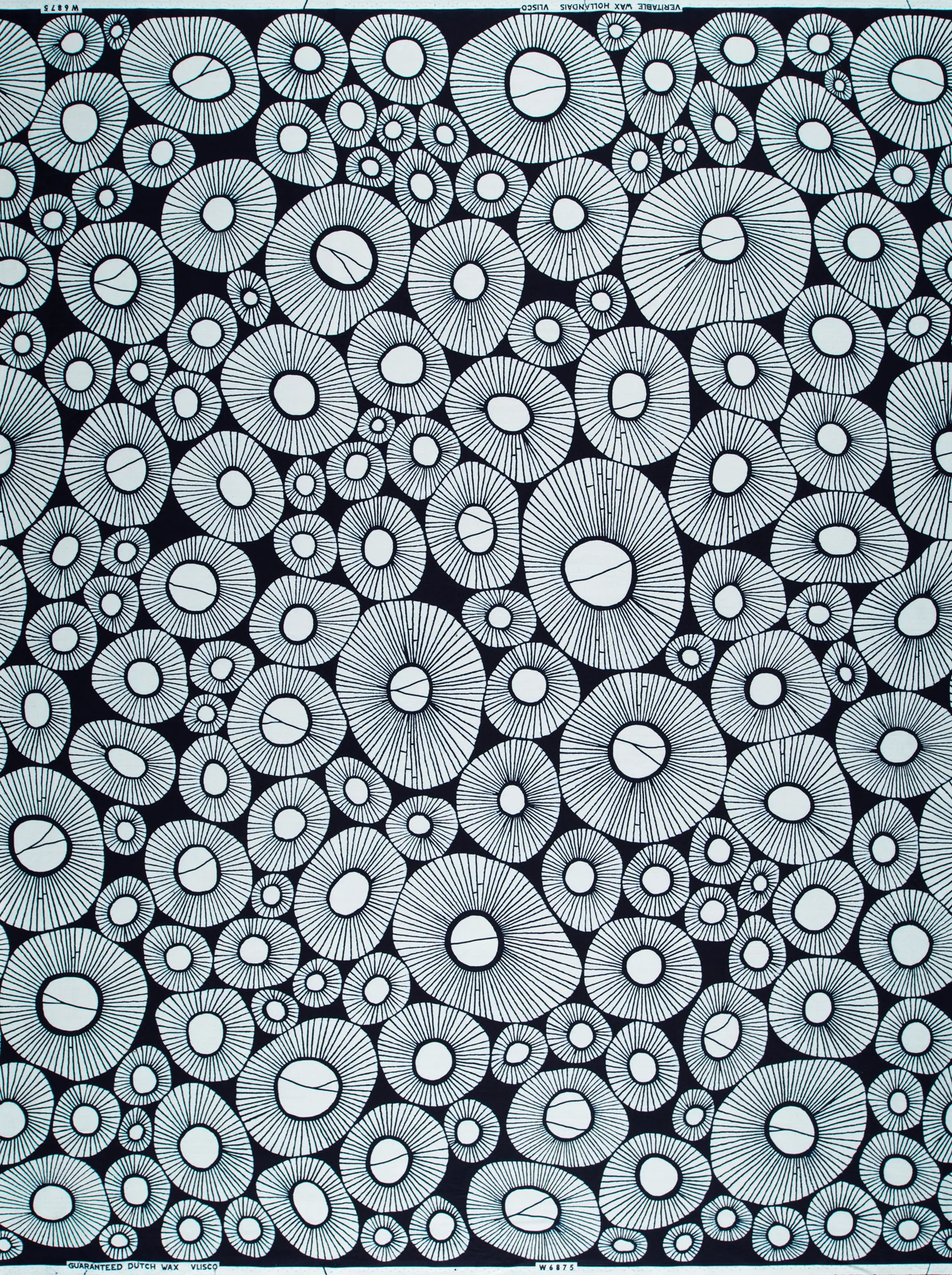 Wax Poplin | VLW6875.021 - Image 4