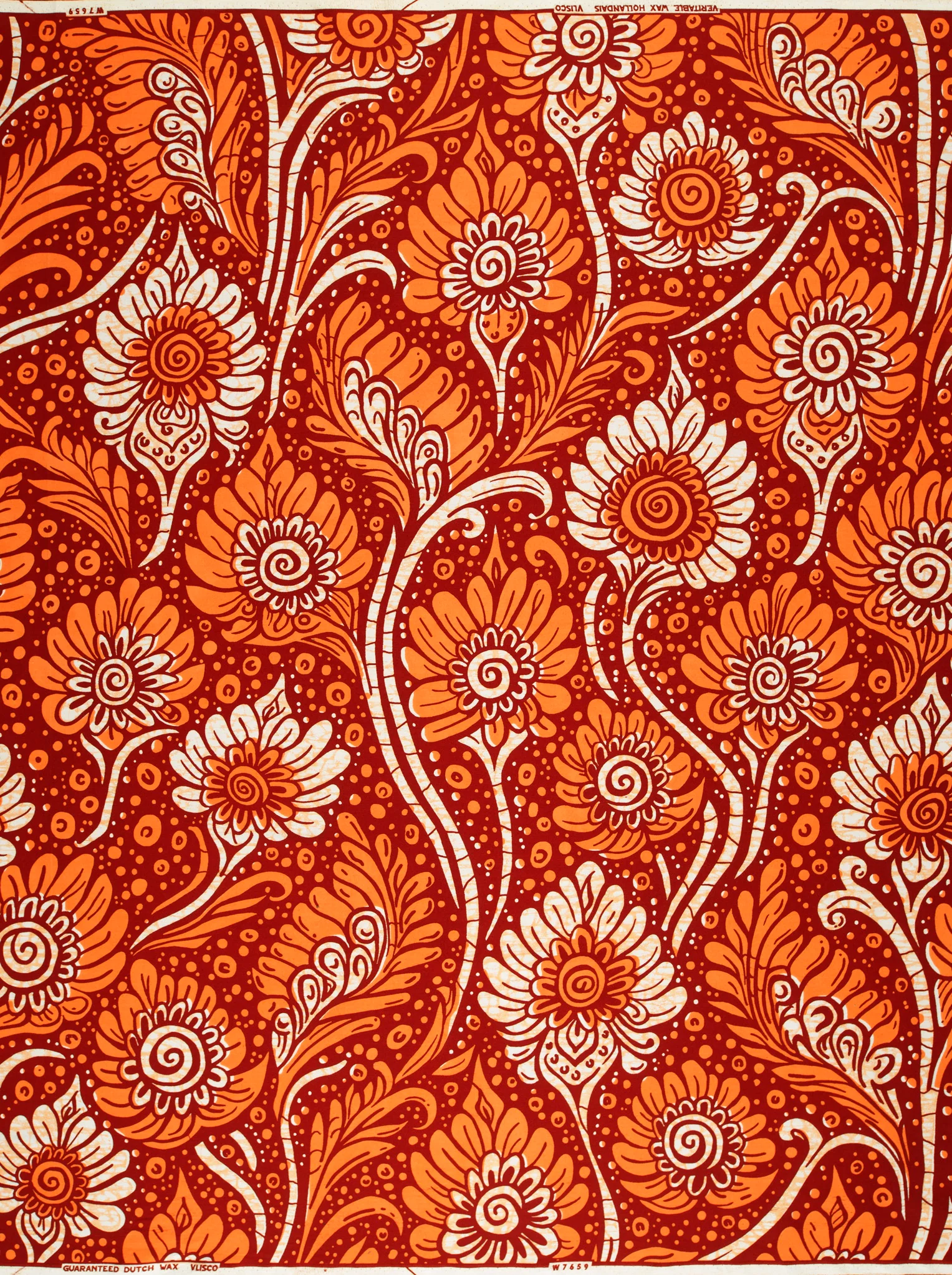 Wax Hollandais | VLW7659.002 - Image 4