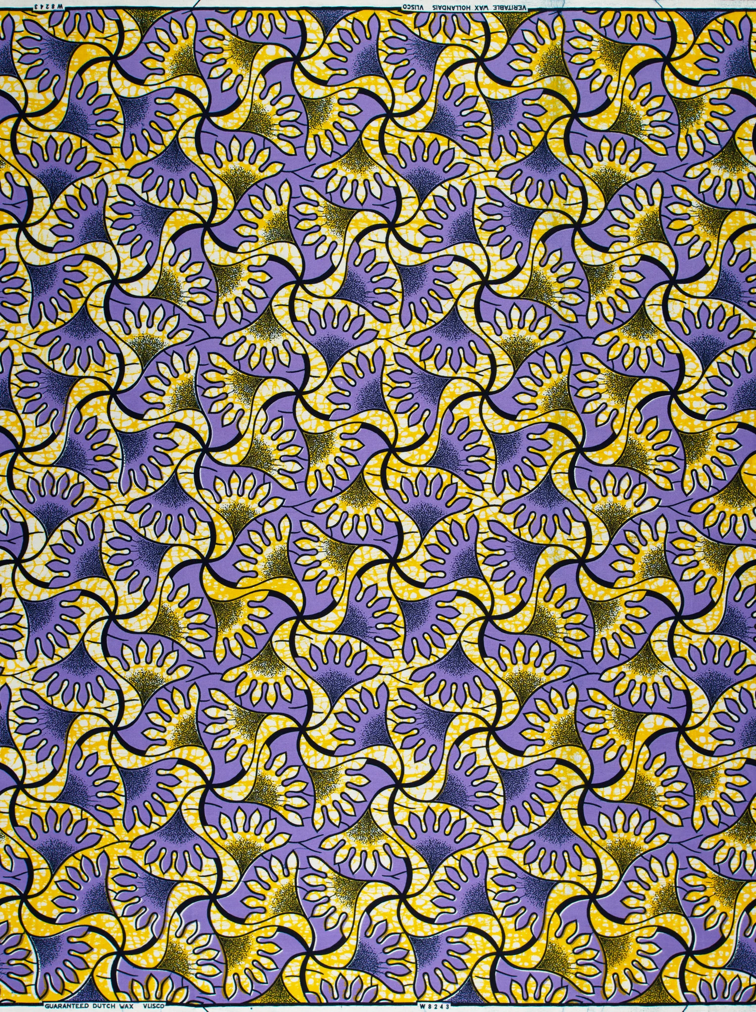 Wax Hollandais | VLW8243.012 - Image 4