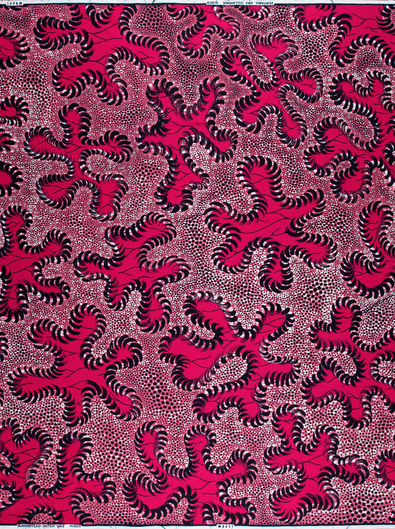 Wax Hollandais | VLW8651.001 - Image 4