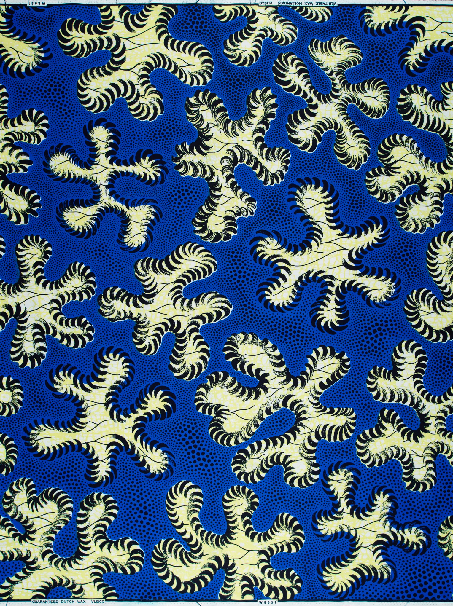 Wax Hollandais | VLW8651.005 - Image 4