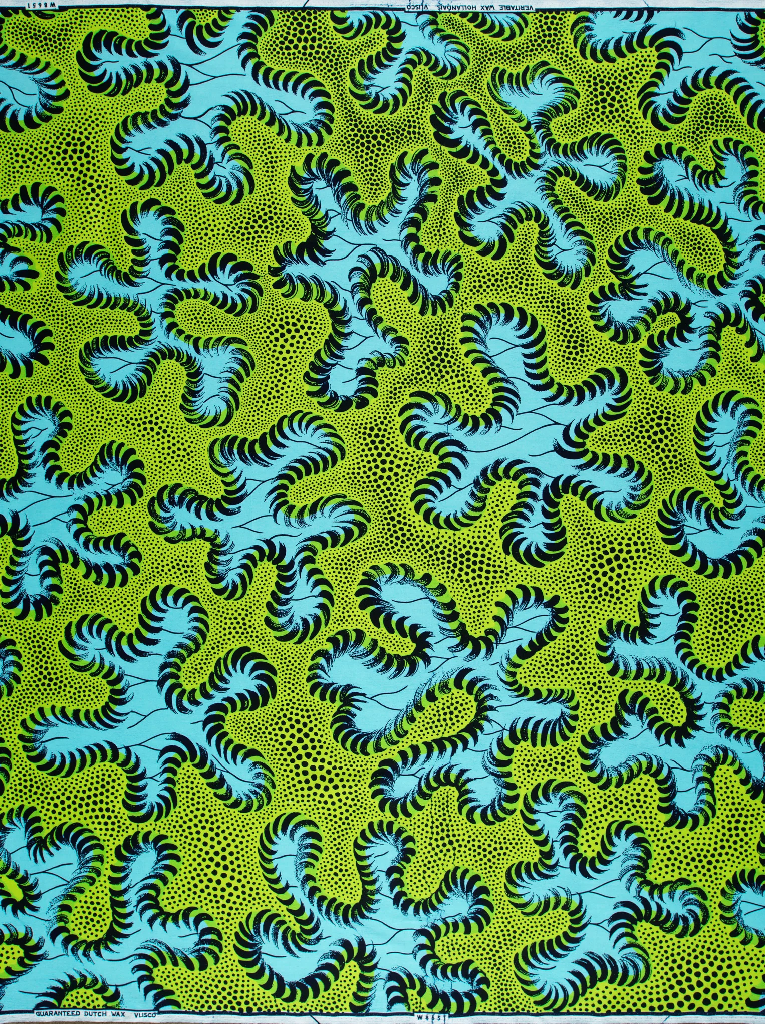 Wax Hollandais | VLW8651.006 - Image 4