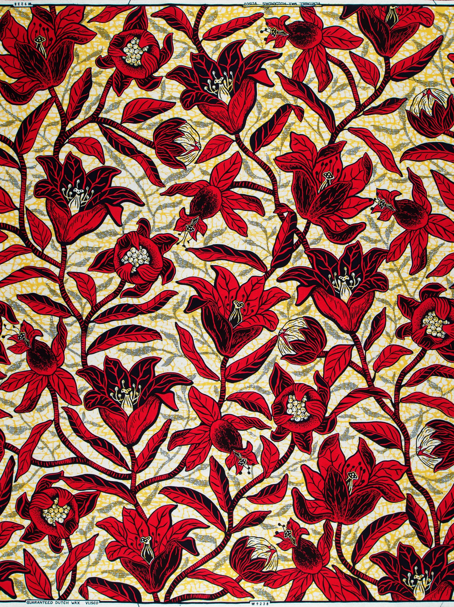 Wax Hollandais | VLW9238.006 - Image 4